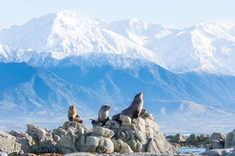 Kaikoura Canterbury New Zealand