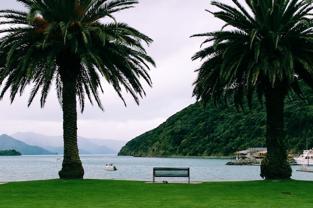 Picton New Zealand