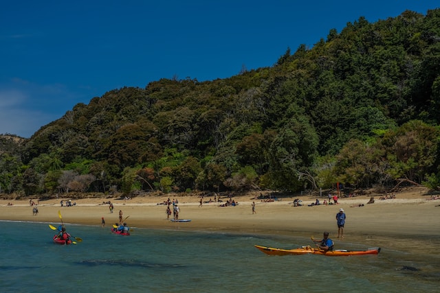 Nelson New Zealand