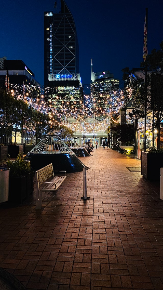 Auckland New Zealand at night